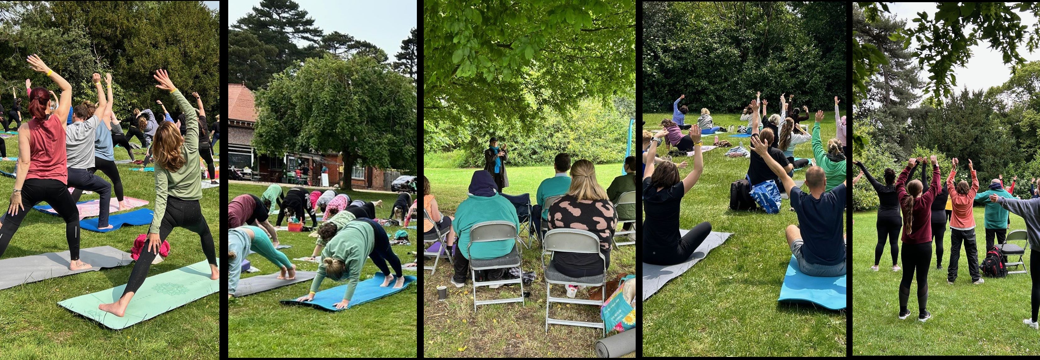 Group of people doing yoga outside in a park shown over 5 images