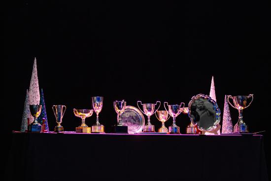Row of trophies