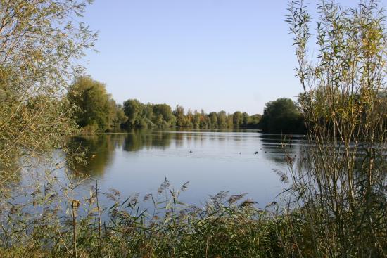 Lake at Harrold-Odell Country Park