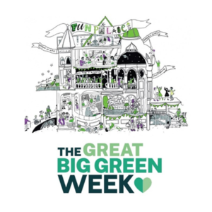 Shows the fun palaces and great big green week logos. Text says "The Great Big Green Week".