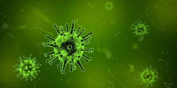 flu virus from under microscope