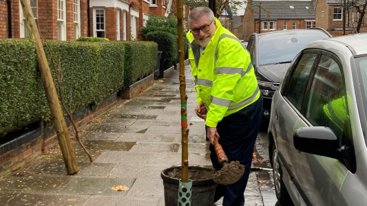 Mayor Dave Hodgson planting a tree