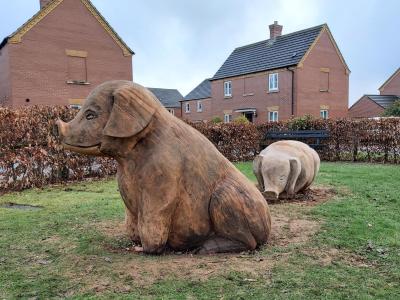 Wooden pigs at the Woodlands Development.