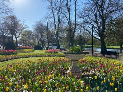 The floral displays at The Embankment. 