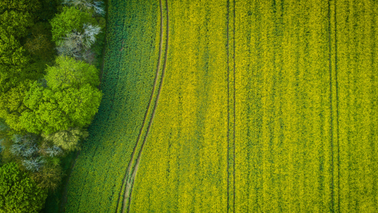 Aerial photo of a field