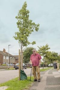 Trees for Streets