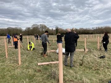 Tree planting 2023