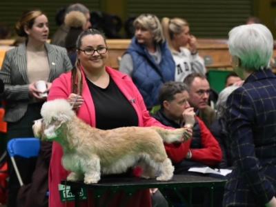 Kirsten and Ludo at Crufts