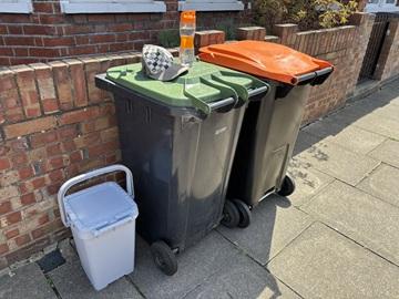 A food, garden waste, and recycling bin on a street - a cap and a water bottle are on the green lidded garden waste bin