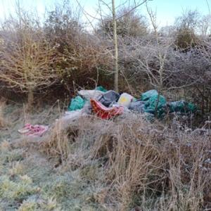 Fly-tipping in an area of grass and shrubs