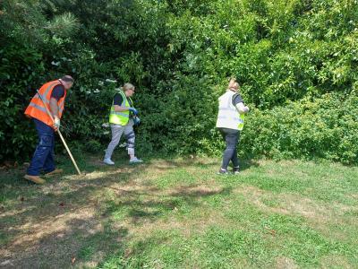 Knife sweep Bedford Park