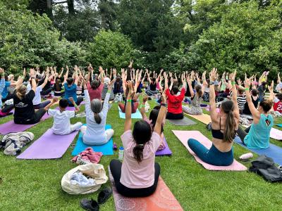 Yoga in Bedford Park