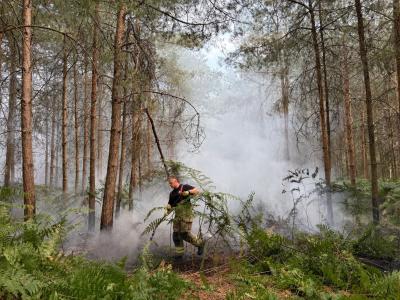 Firefighter putting out campfire