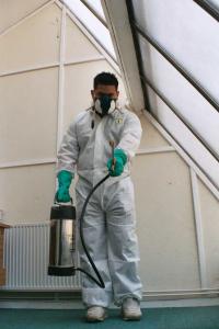 Pest control staff