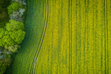 Aerial photo of a field
