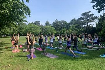 Yoga in Bedford Park