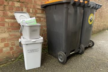 Food waste bins