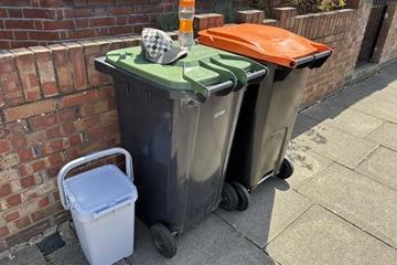 A food, garden waste, and recycling bin on a street - a cap and a water bottle are on the green lidded garden waste bin
