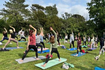 Yoga in Bedford Park