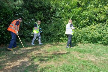 Knife sweep Bedford Park