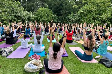 Yoga in Bedford Park