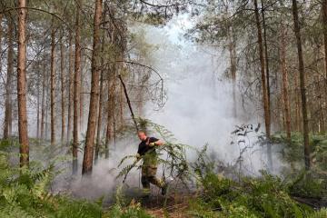 Firefighter putting out campfire