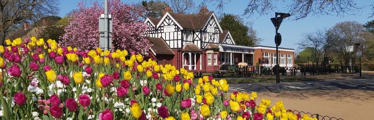 Bedford in bloom