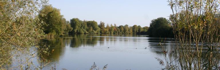Lake at Harrold-Odell Country Park