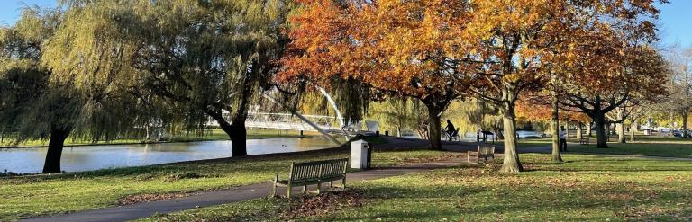 Trees along Bedford Embankment in autumn