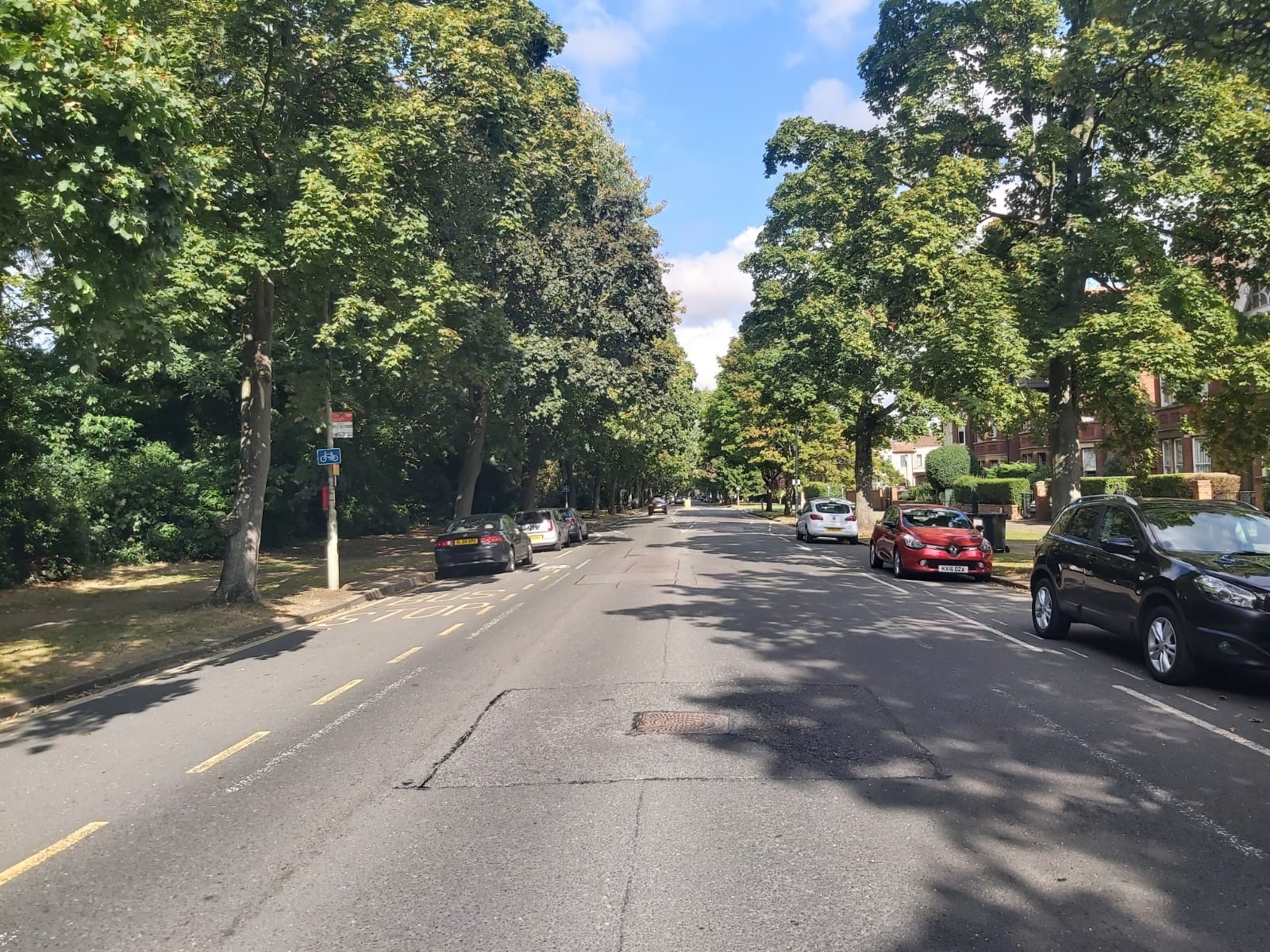 Wide road lined by trees on both sides