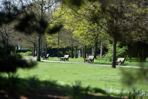  Memorial benches in Bedford